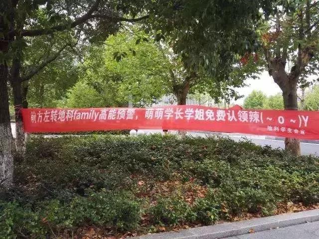 学长,你能写出这样的迎新横幅,毕业做文案月薪3万!