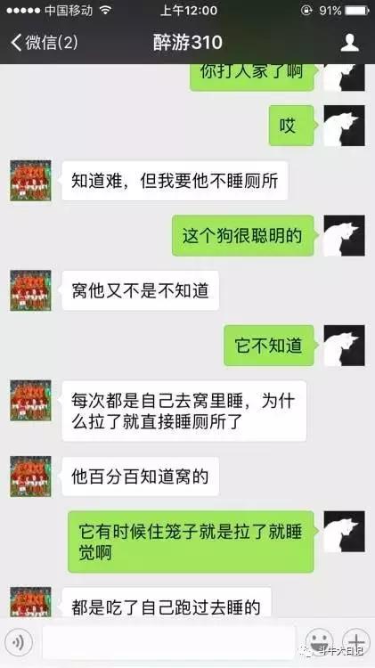 把狗打死了怎么办