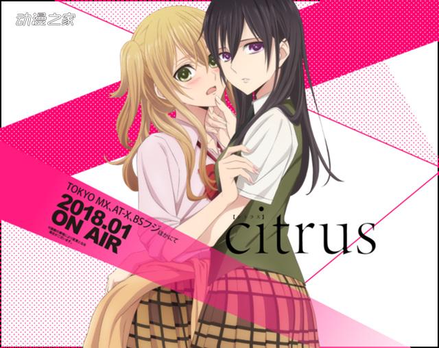 姐妹之间的纯爱故事!动画《citrus》pv公开