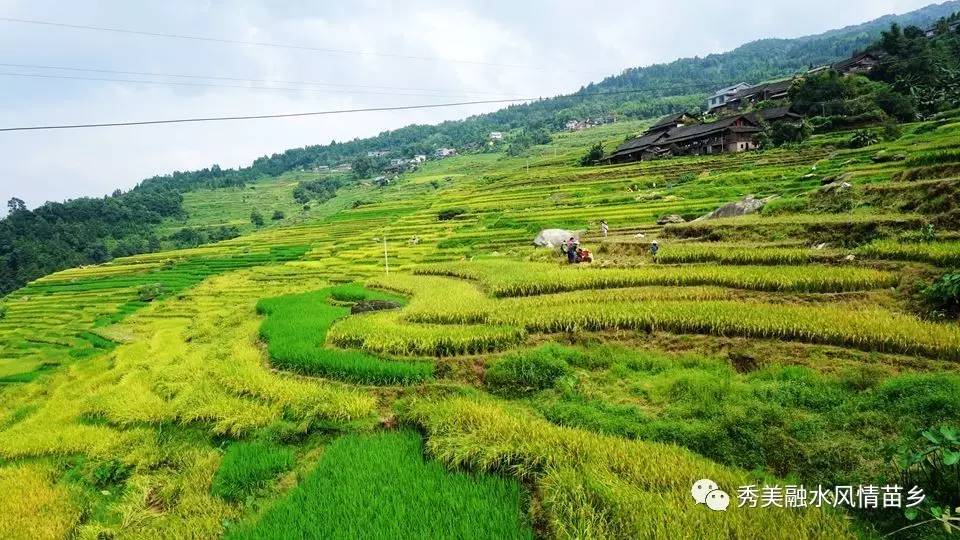 路线2:融水县城—融安县—板大线—大浪镇—白云乡 路线3:找