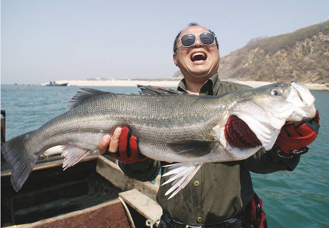 2010年4月初,我曾在河口湾发现大群鲈鱼漂浮在水面上,不过我对这段