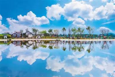 重庆九龙坡区驿都花海景色迷人.