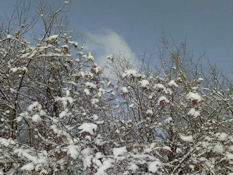 漳县连绵秋雨,似乎离冬天不远了,雪期遥遥在望,提前送