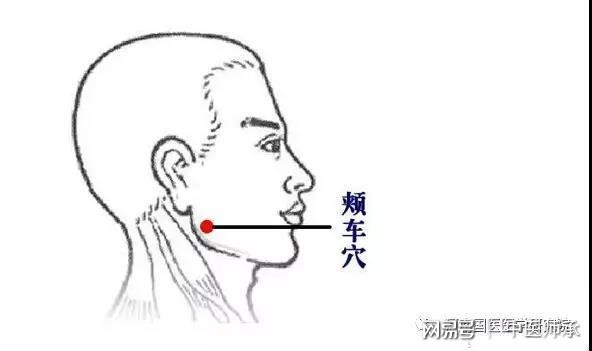 颊车穴主要治疗颊肿牙痛颊肿齿痛下齿神经痛