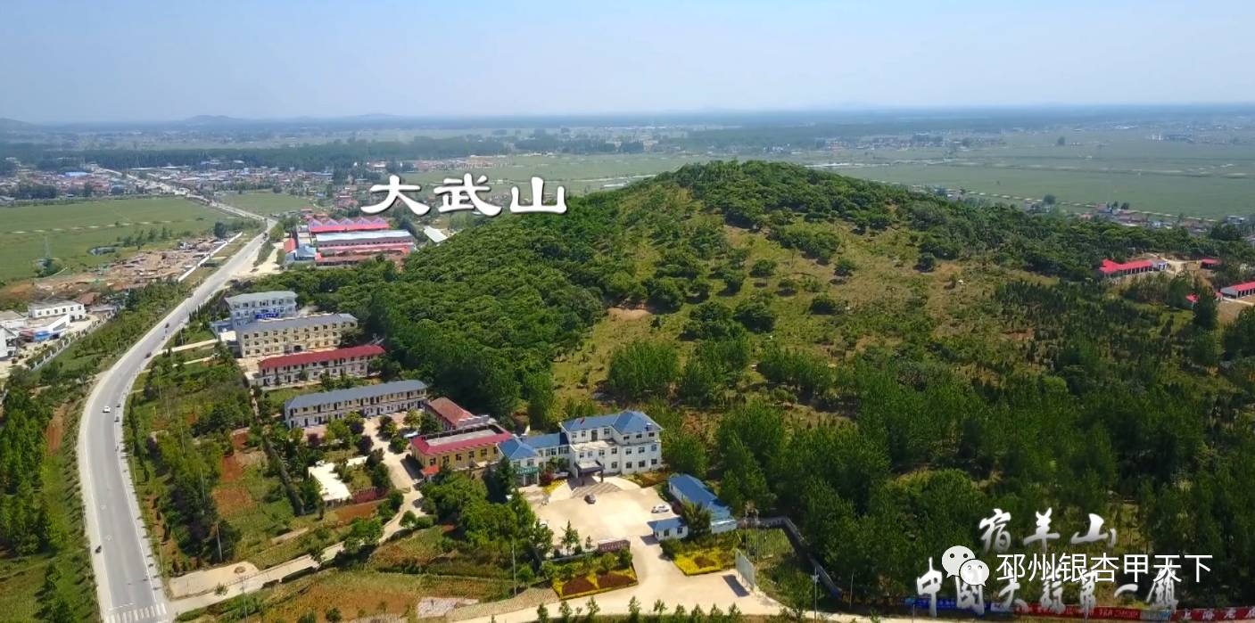 邳州宿羊山镇被誉为 中国大蒜第一镇 因为大蒜 被越来越多的人熟知