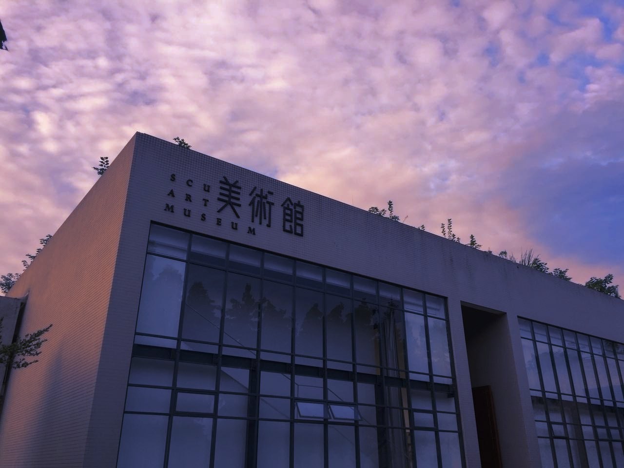 四川大学美术馆 scu art museum