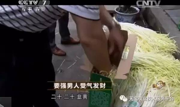 致富种植业_致富种植什么比较赚大钱_致富经种植