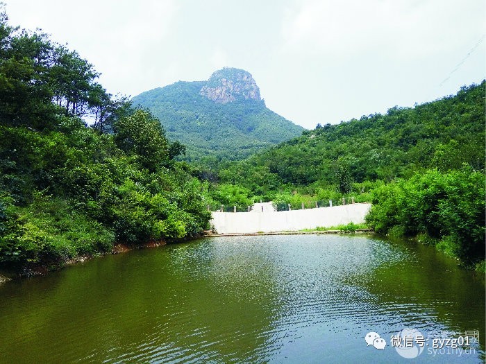 农村好风光_河南省南阳市方城县独树镇板井村-村网通_风景520