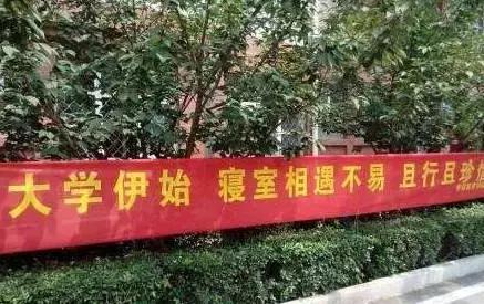 学长你能写出这样的迎新横幅毕业做文案月薪3万