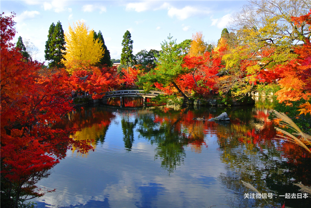 Tripadvisor旅行者之選 日本最佳紅葉名所 雪花新闻