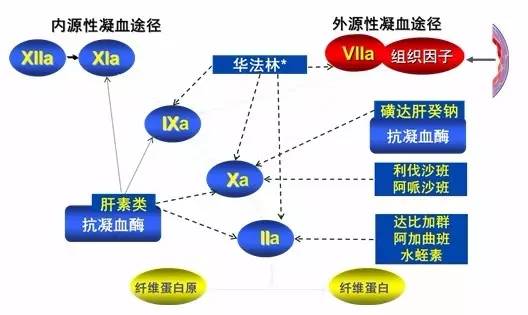 血液凝固的原理_图为血液凝固机理(2)