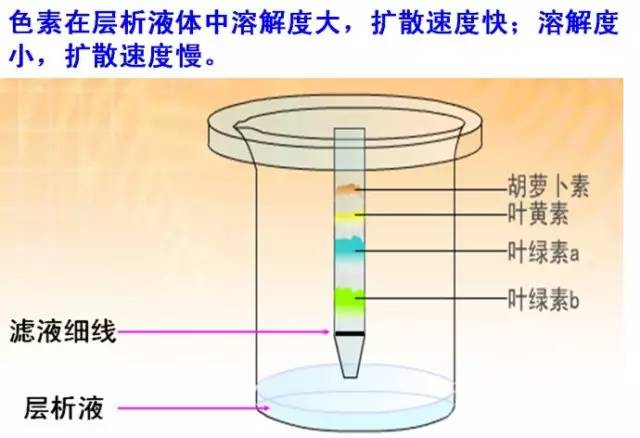 柱色谱分离有机化合物的基本原理是什么