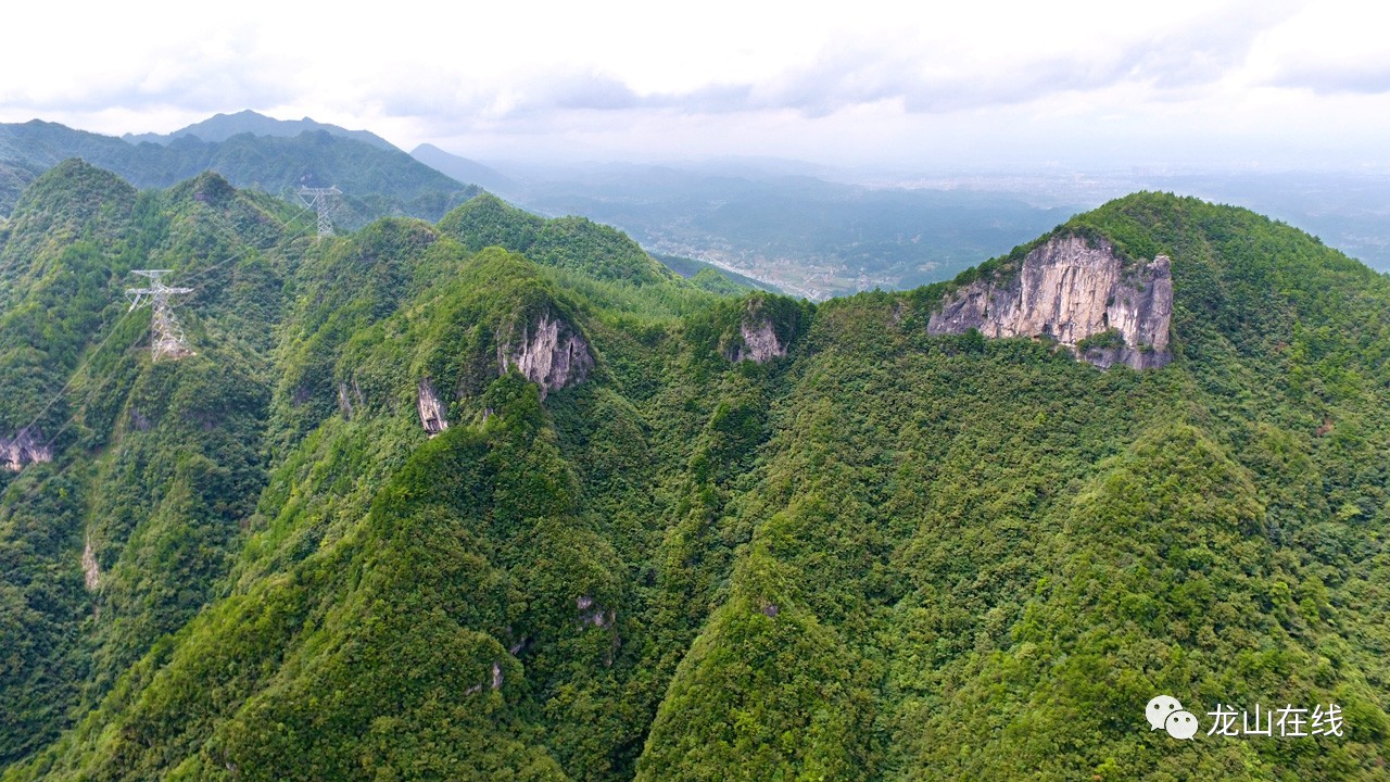 龙山有个凤凰山,山上有个二当家!