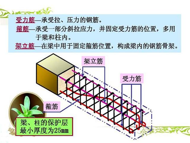 搭檐怎么读_檐怎么读