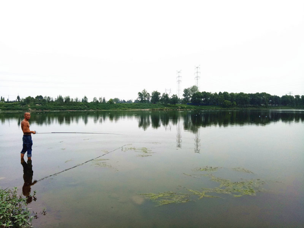 鲁家滩:水天一色的生态湿地