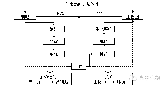 【纯干货】高中生物必修一概念图,开学不用担心听不懂了!