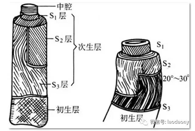 【棉纤维】棉花结构,性能及其棉花补贴发放情况