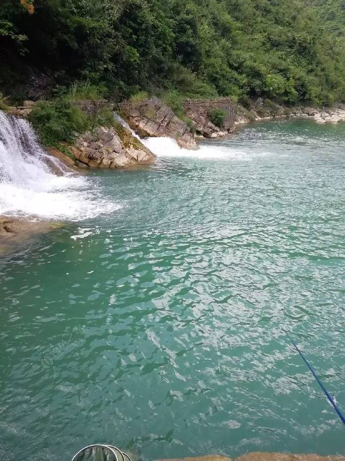 这里的风景迷人,这里的河水清澈,这里的空气清新,这里的鱼儿美味,这里