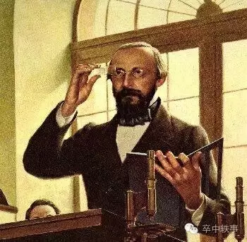 rudolf virchow-十九世纪的卒中巨人