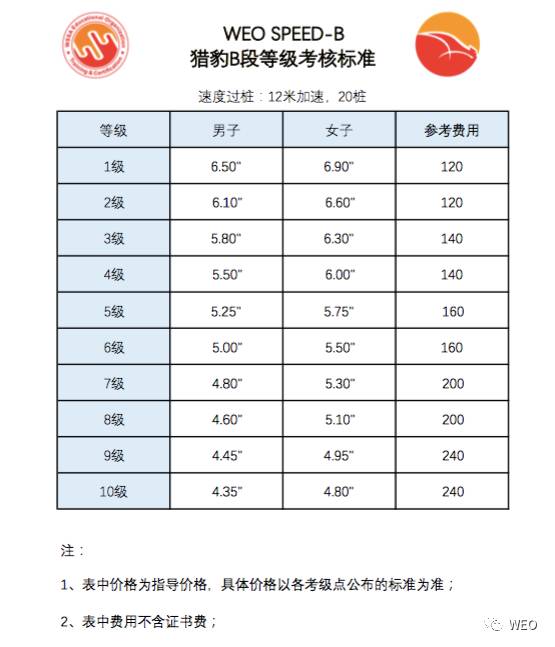 weo轮滑考级weo广东省授权中心的介绍