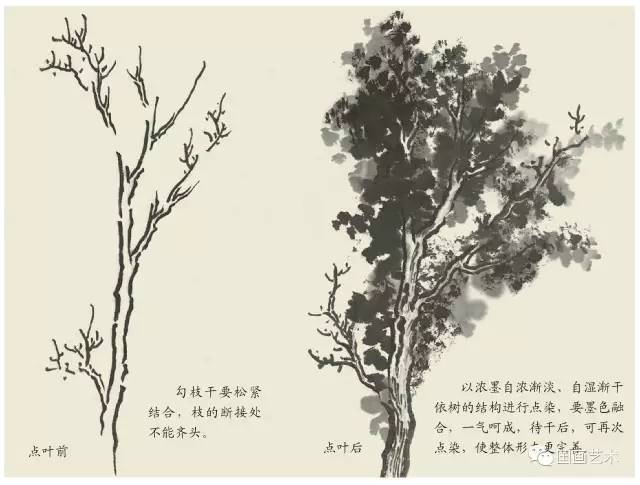 图文教程:树叶的画法