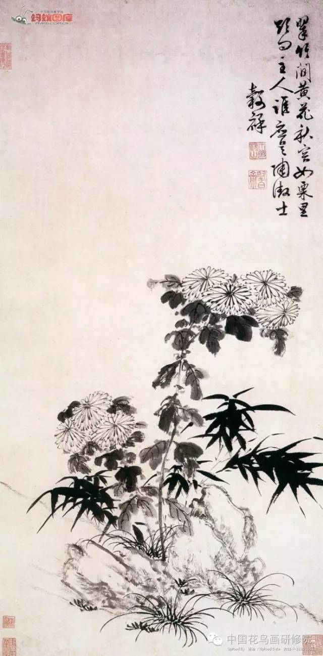 菊花图 明 唐寅(1470-1523)秋菊图 明 陈淳(1438-1544)菊石图 扇面