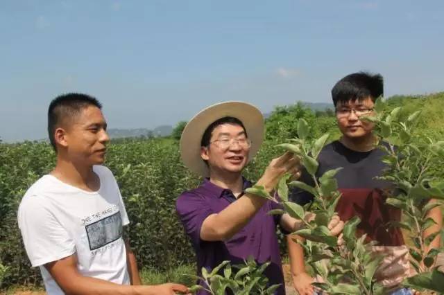 刘万林:为了那片绿色梦