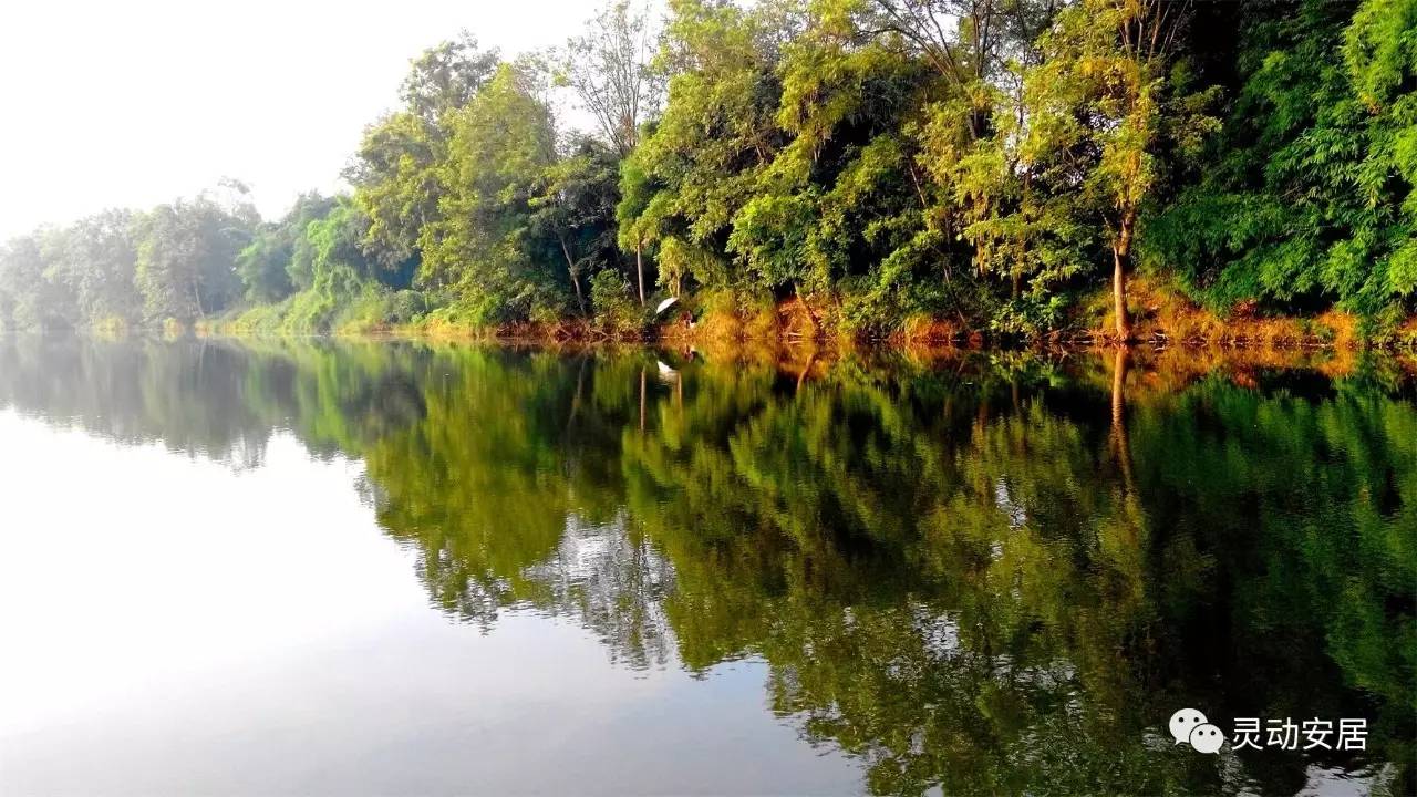 有才的朋友莫稳起琼江生态湿地公园景点等您来取名