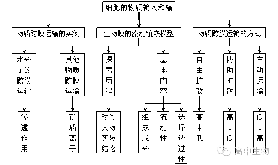 第四章 细胞的物质输入和输出 一,本章核心概念 主要 被动运输,主动