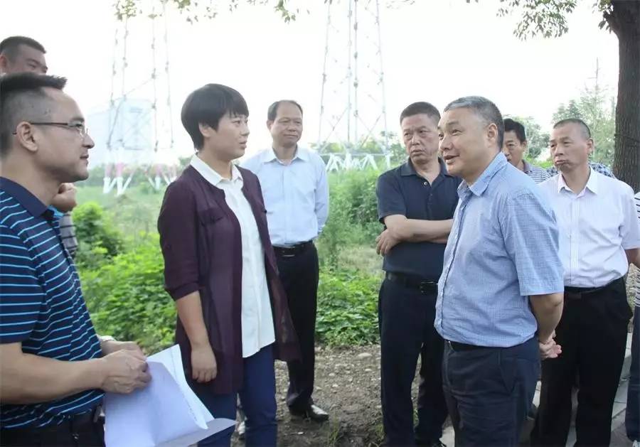 副市长王应华来猇调研企业 助推企业发展