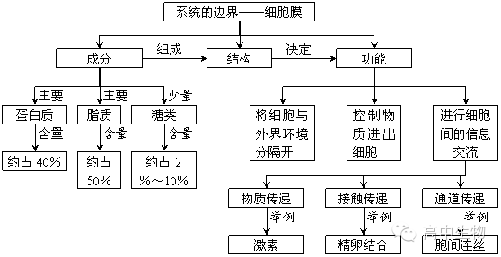 三,各节子概念图 3.1 细胞膜—系统的边界