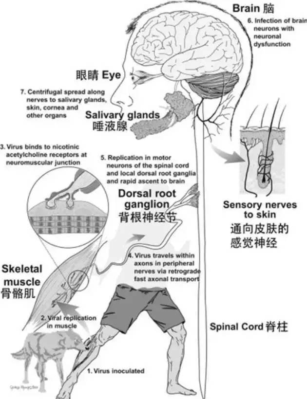 安阳市人口数_辉煌三十年之数说安阳 人口