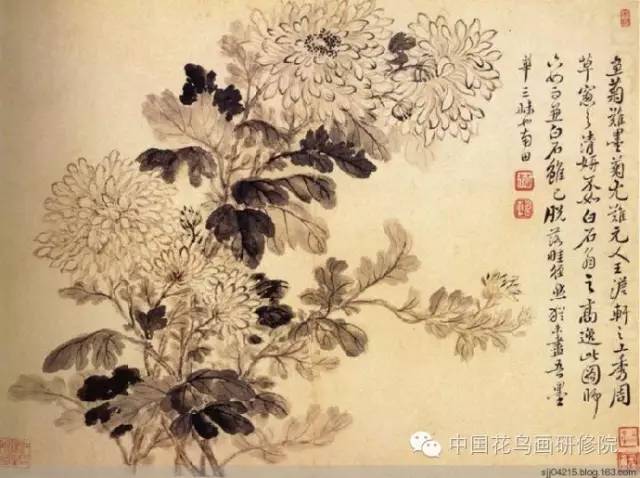 历代名家画菊花