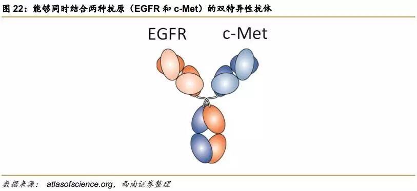 生物学GDP_国内十大生物学研究机构学科优势比较