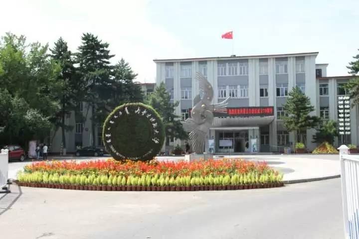 新生入学无敌攻略请拿好(赛罕校区)