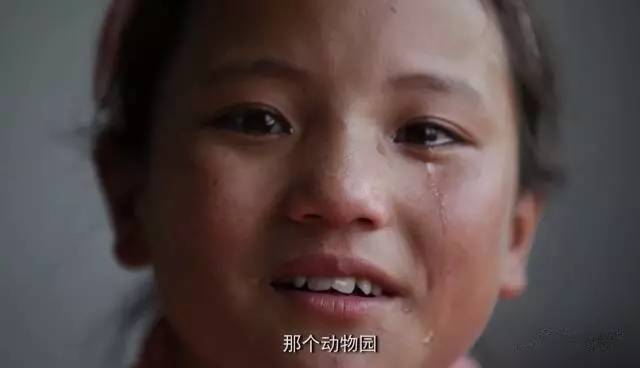 【加油】9个大凉山的孤儿,告诉你贫穷的梦想!看完泪流