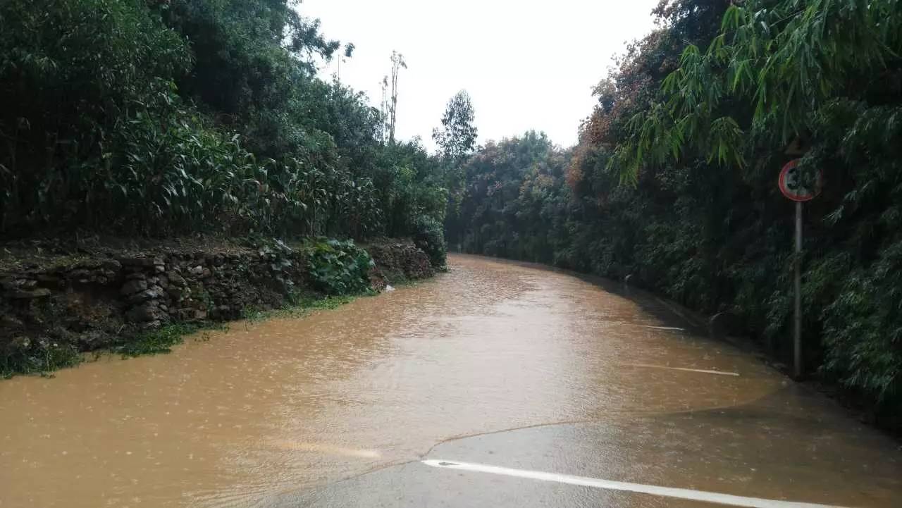 9月6日10时15分发布暴雨蓝色预警:预计未来24时玉溪市易门,新平,元江