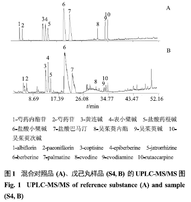 抑制酶简谱_儿歌简谱