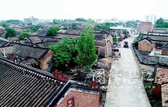 雷州市邦塘村人口_雷州市坑营村