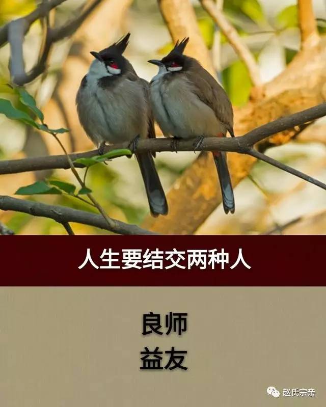 人生要结交良师益友.