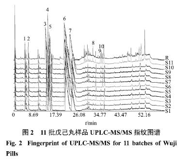 抑制酶简谱_儿歌简谱