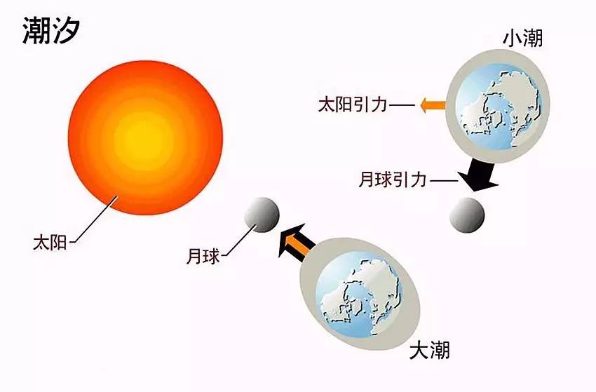 潮汐现象是月亮与太阳的引力造成的,但为什么会有大潮,小潮之分?