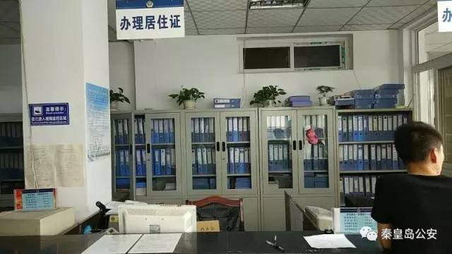 辛集流动人口_辛集农民画