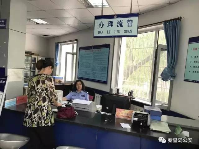 辛集流动人口_辛集农民画