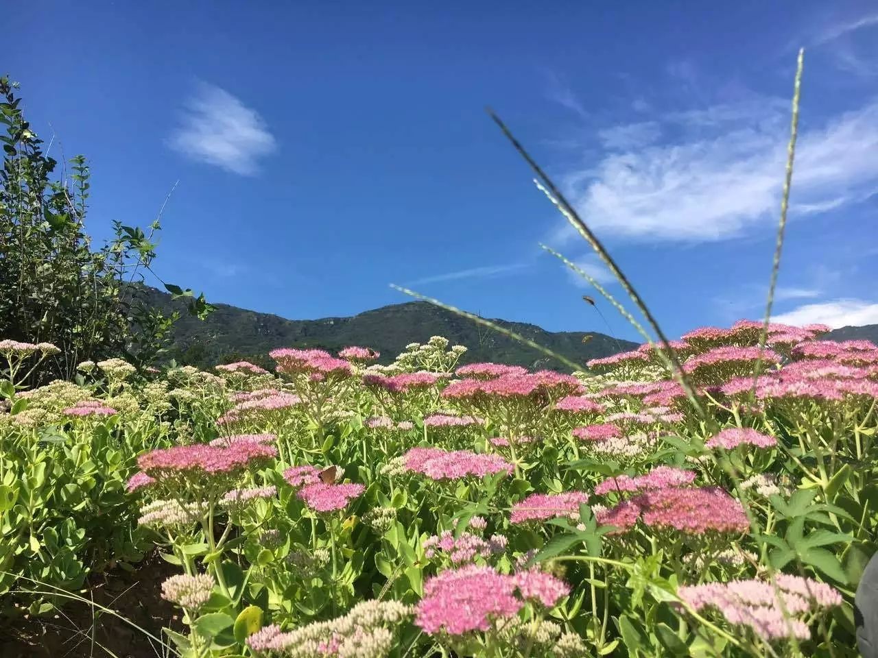 2023归山音乐生活节-成都站