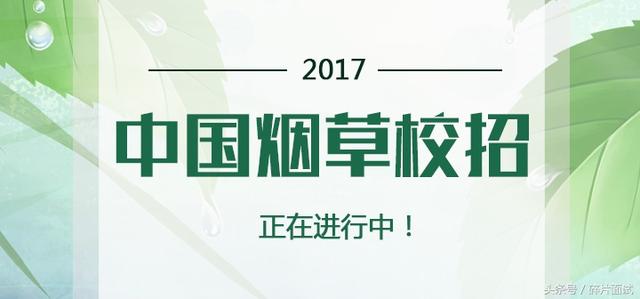 烟草招聘信息_2017山东烟草招聘公告信息汇总,提前知道