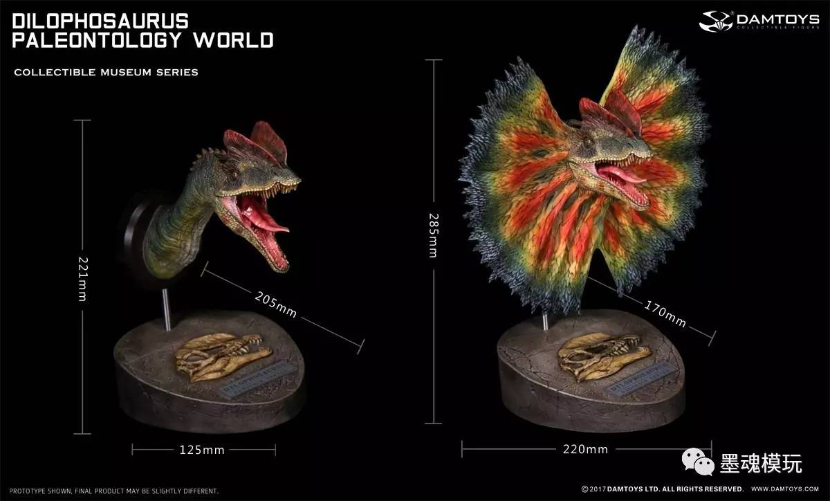 damtoys博物馆系列霸王龙胸像双脊龙双冠龙头部雕像摆件壁挂