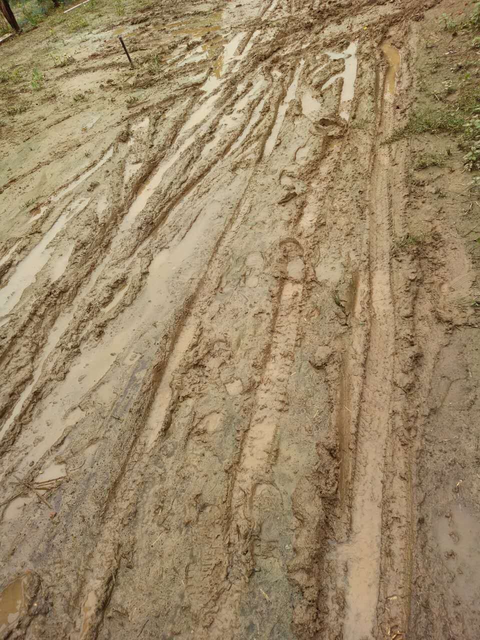 涟水的烂泥路,真为通过的孩子捏把汗!