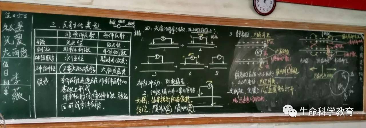 板书教学设计一名高中生物老师的坚持