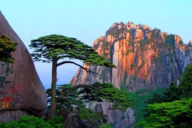 远眺黄山最险峰天都峰, 天都峰